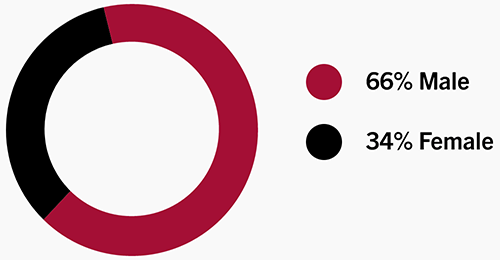 Circle graph showing gender breakdown percentage of 66% Male and 34% Female.